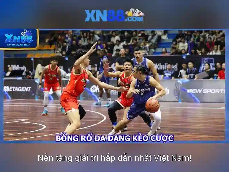 Giao diện nhà cái hoàn hảo