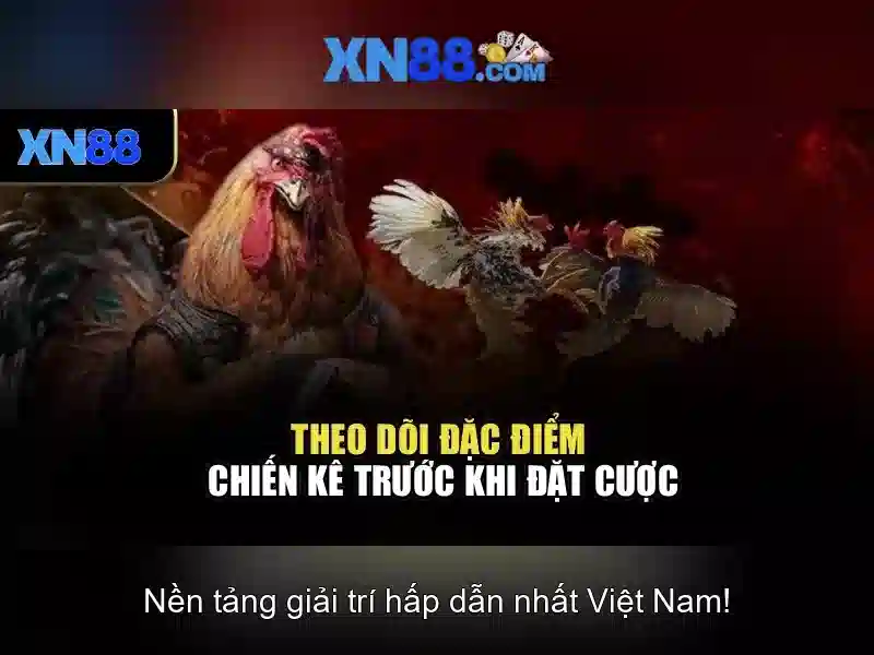 Gioi thieu ve xn88