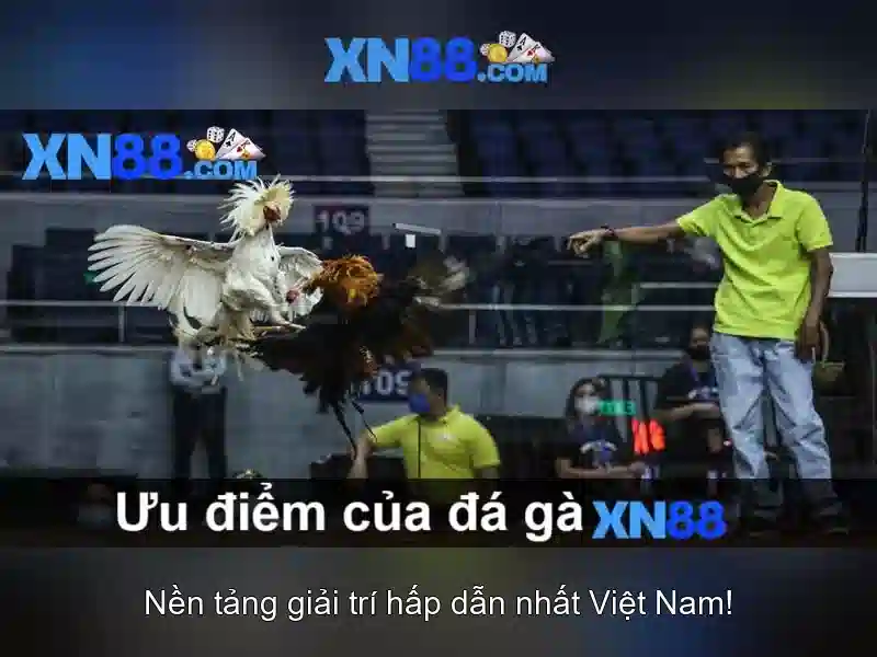 Giới thiệu về xn88