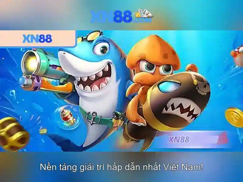 An toàn và trách nhiệm khi tham gia