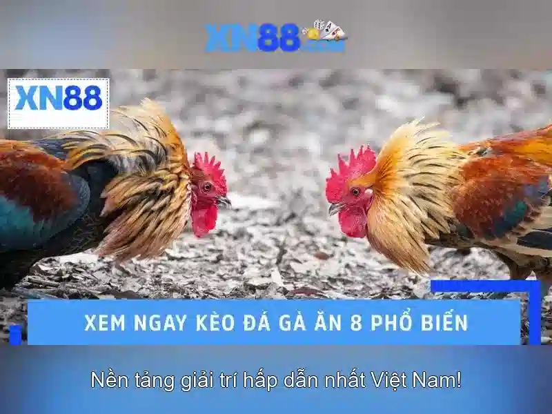 xn88 là gì và tại sao nền tảng này thu hút người chơi trực tuyến Giao diện nhà cái hoàn hảo