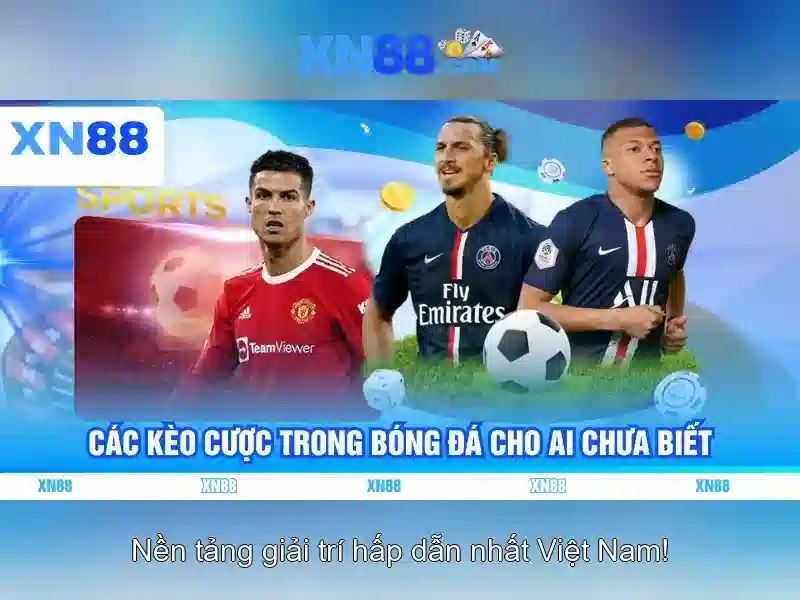 Giao diện nhà cái hoàn hảo