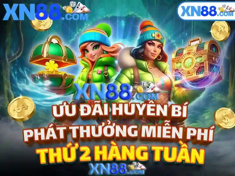 Trải nghiệm người dùng và phản hồi cộng đồng