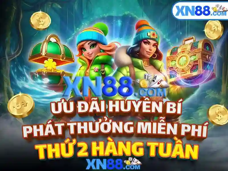 Trải nghiệm người dùng và phản hồi từ cộng đồng