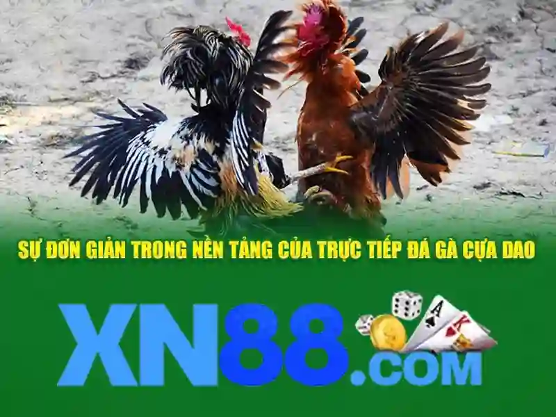  xn88 uy tín không – Chủ đề tổng quan và giá trị cốt lõi