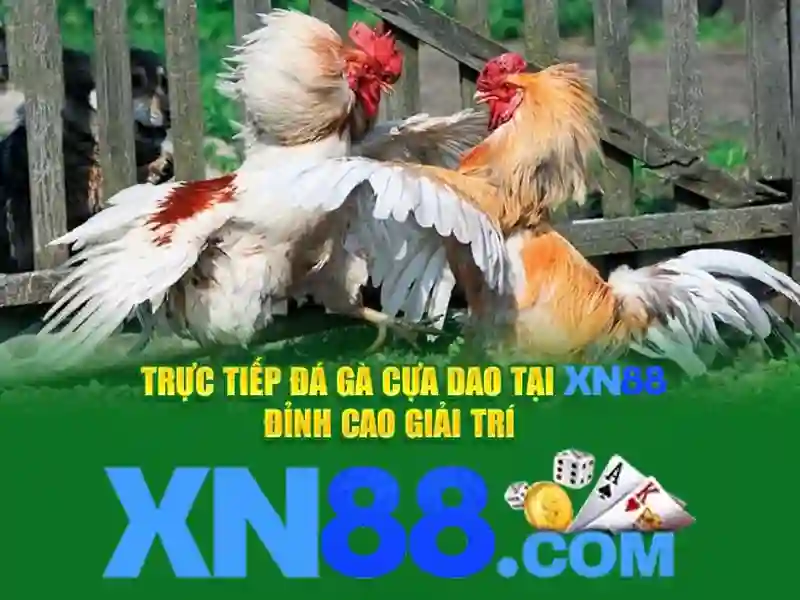 xn88: Nền tảng trò chơi trực tuyến tại Việt Nam Giao diện nhà cái hoàn hảo